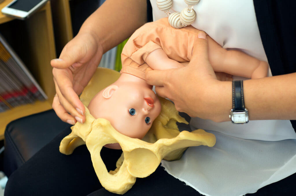 baby doll in artificial pelvis | B3 Physical Therapy