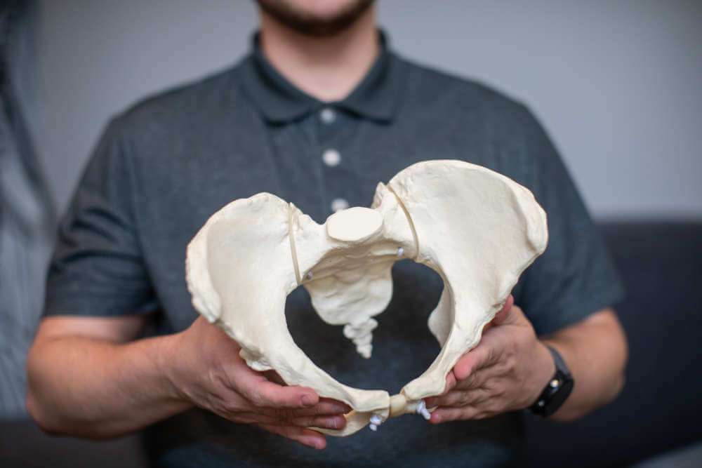Close up photo of a pelvis model in Ken McGee's hands
